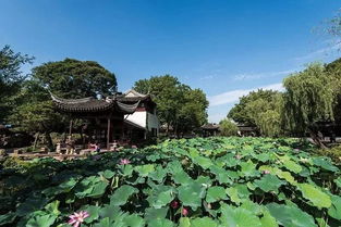 每日趣談 假期旅行了解一下 這些絕佳旅行地,填滿(mǎn)你的假期